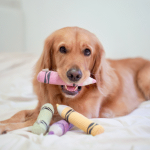 Lambwolf zabawka węchowa dla psa Kredka zielona